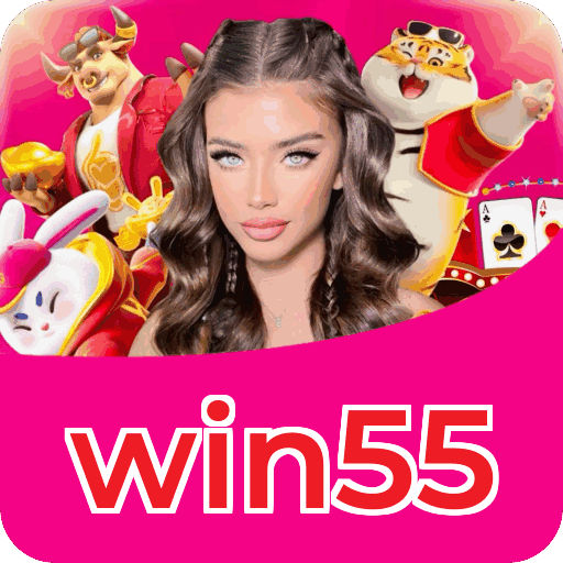 Interface win55